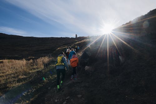 Ilmainen kuvapankkikuva tunnisteilla auringonvalo, patikointi, polku