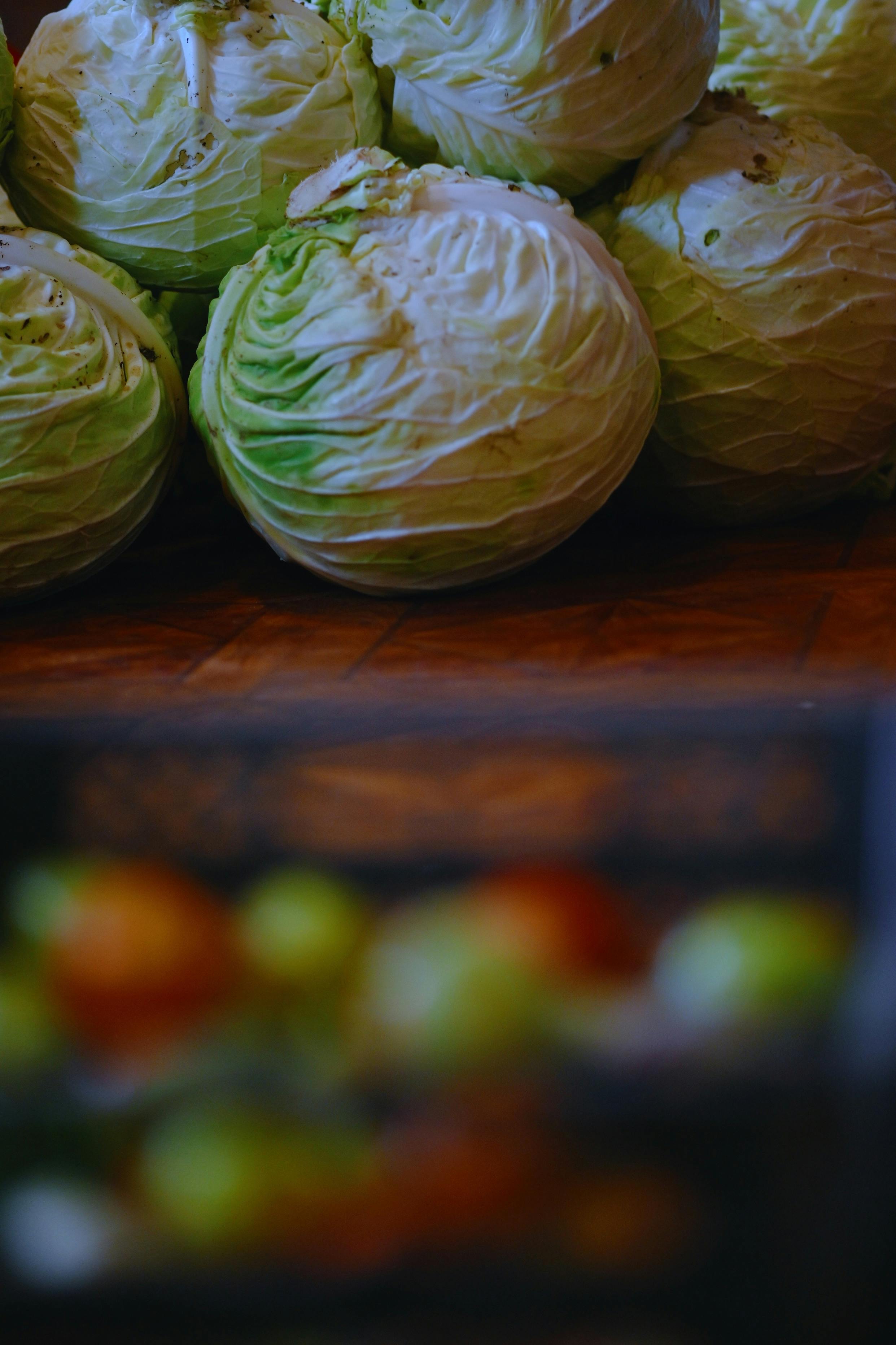 Cabbage Repolyo - Urban Goes Green Plant Guide