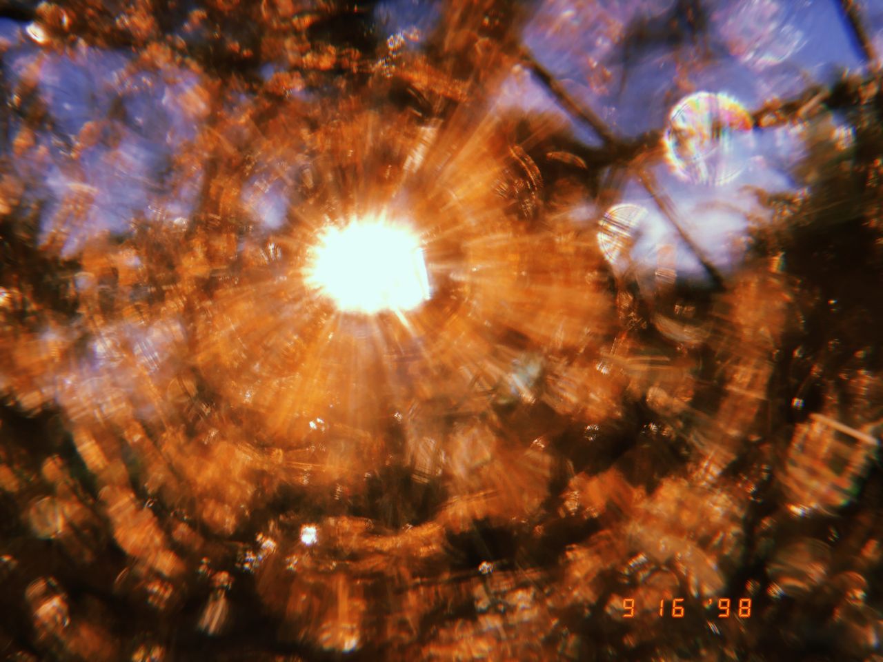 abstract view of sunlight through autumn leaves with vibrant colors an