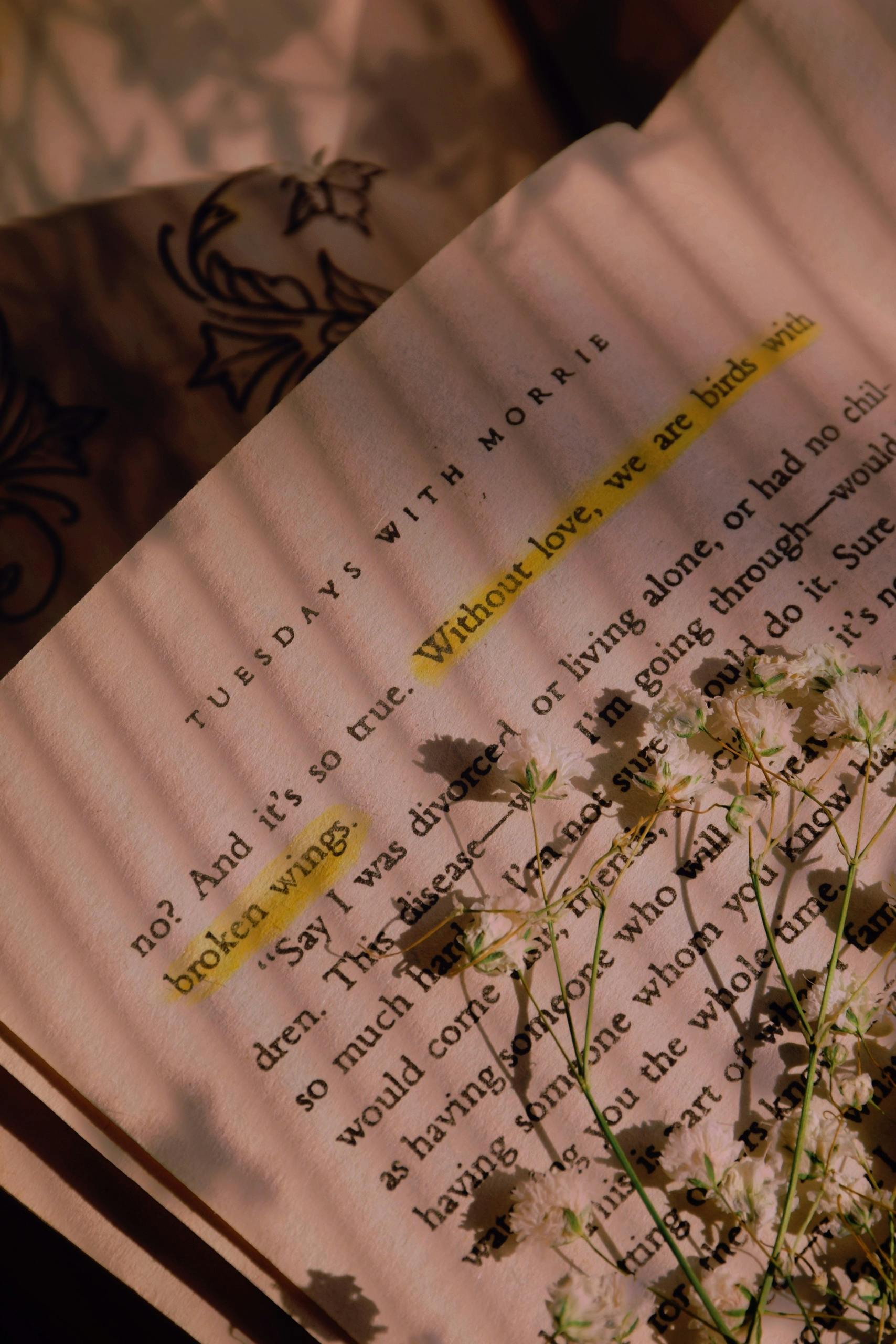 Open book page with highlighted text and delicate flowers in warm lighting.