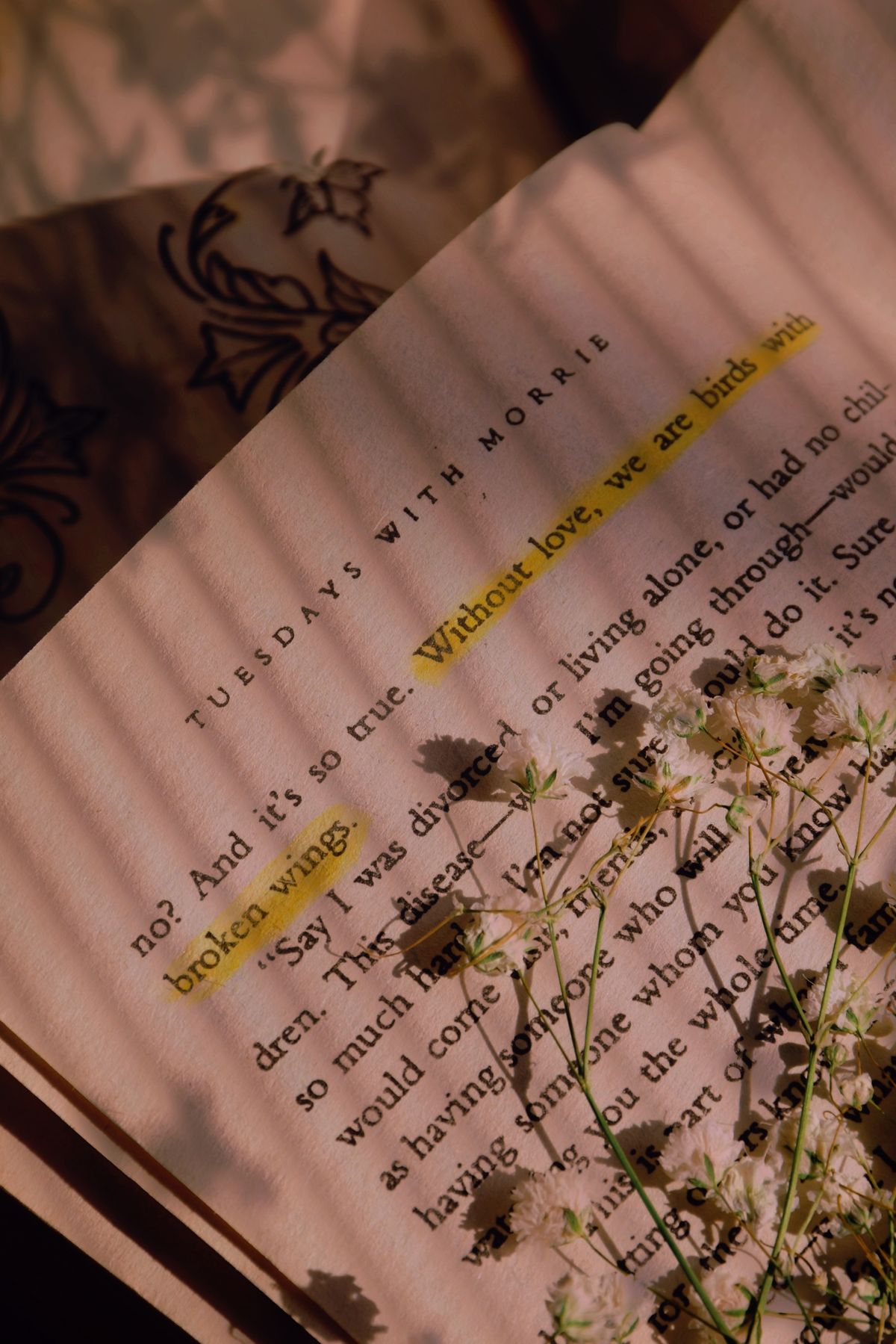 Poetry Book Photos, Download The BEST Free Poetry Book Stock Photos ...