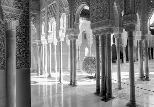Imagine de stoc gratuită din alb-negru, alhambra, arhitectură