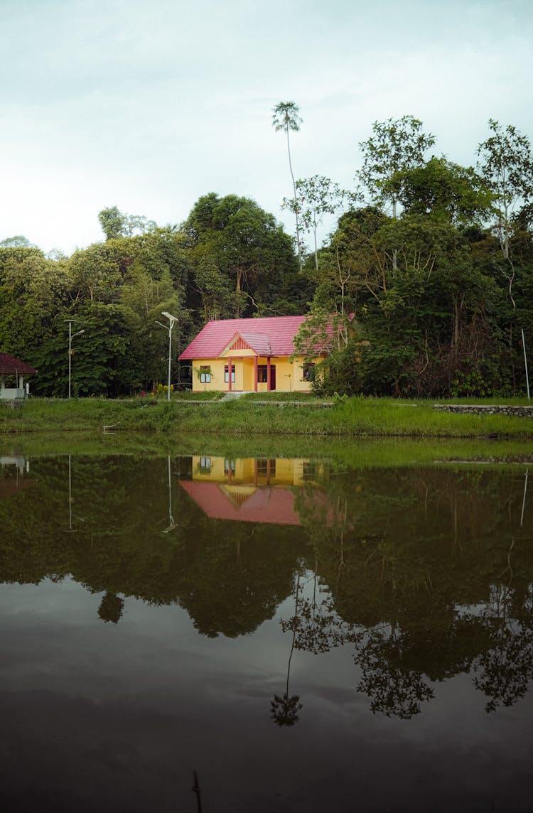 House Near Forest On River Bank