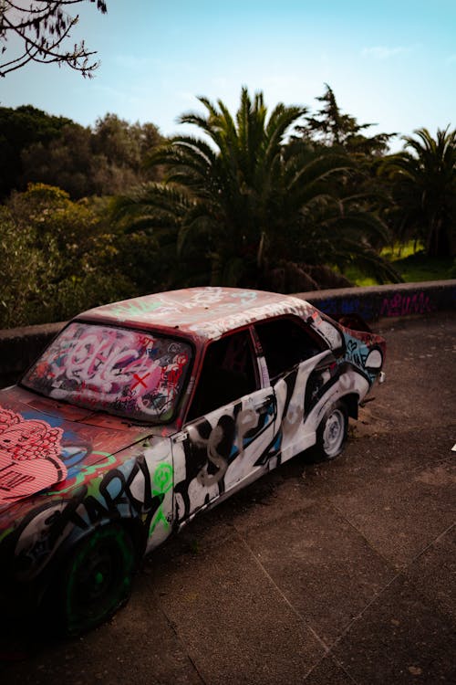 Foto profissional grátis de abandonado, árvore, árvores