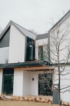 Elegant modern home facade with minimalist design and a bare tree in the foreground.