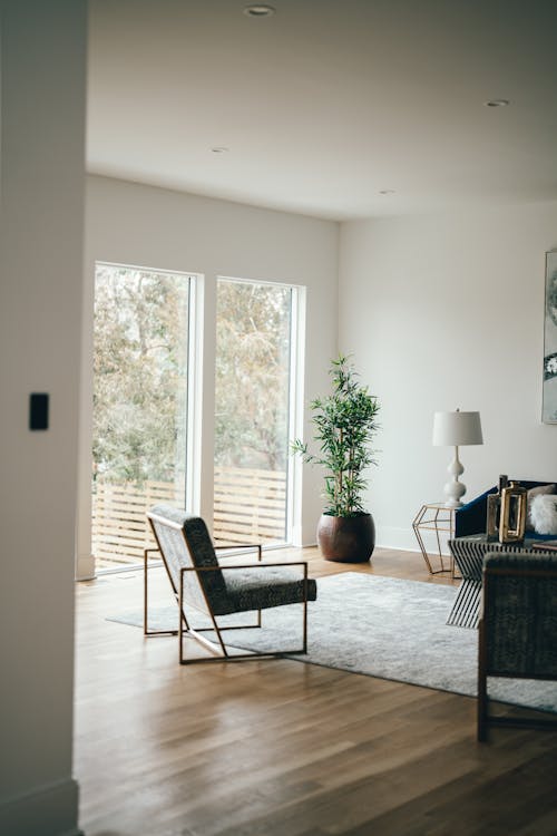 Darmowe zdjęcie z galerii z dywan, fotel, okna