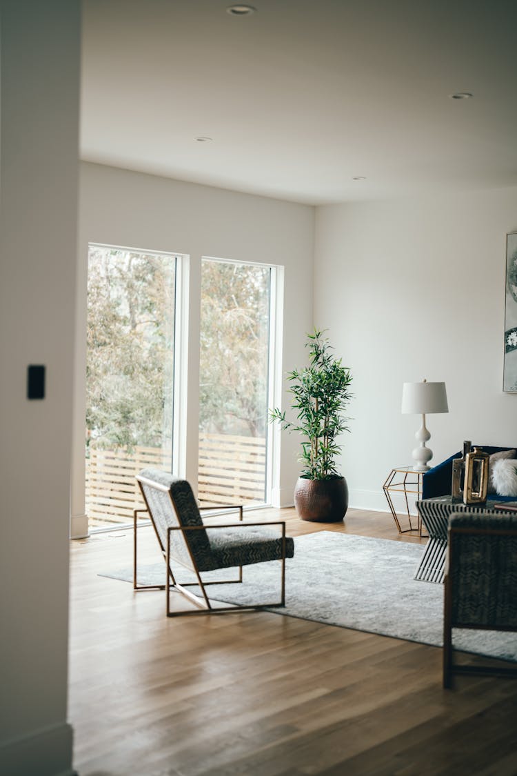 Armchair And Carpet In Room