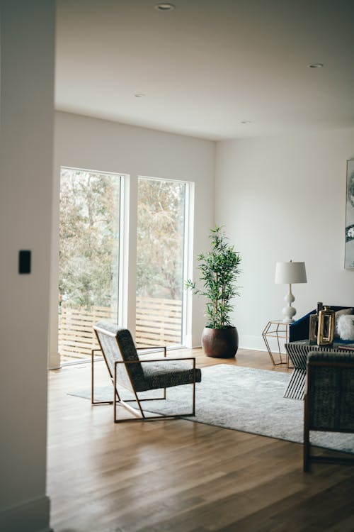 Free Armchair and Carpet in Room Stock Photo