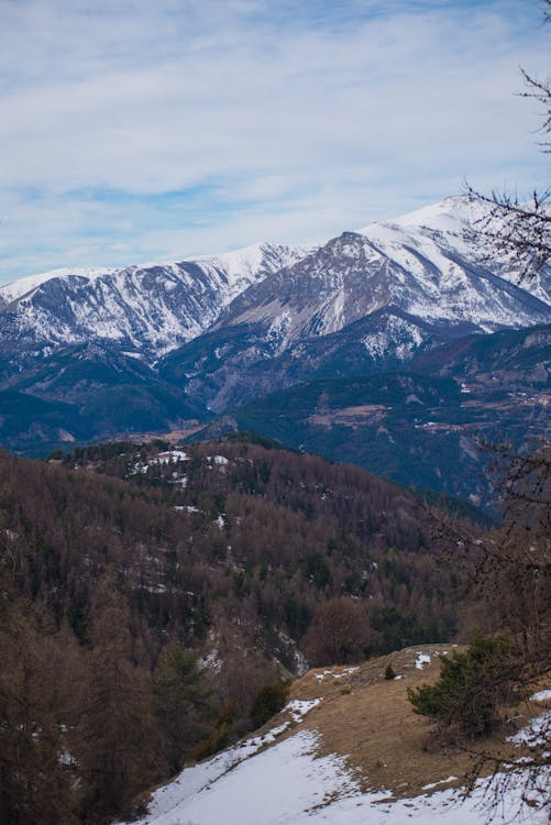 Immagine gratuita di catena montuosa, foresta, freddo