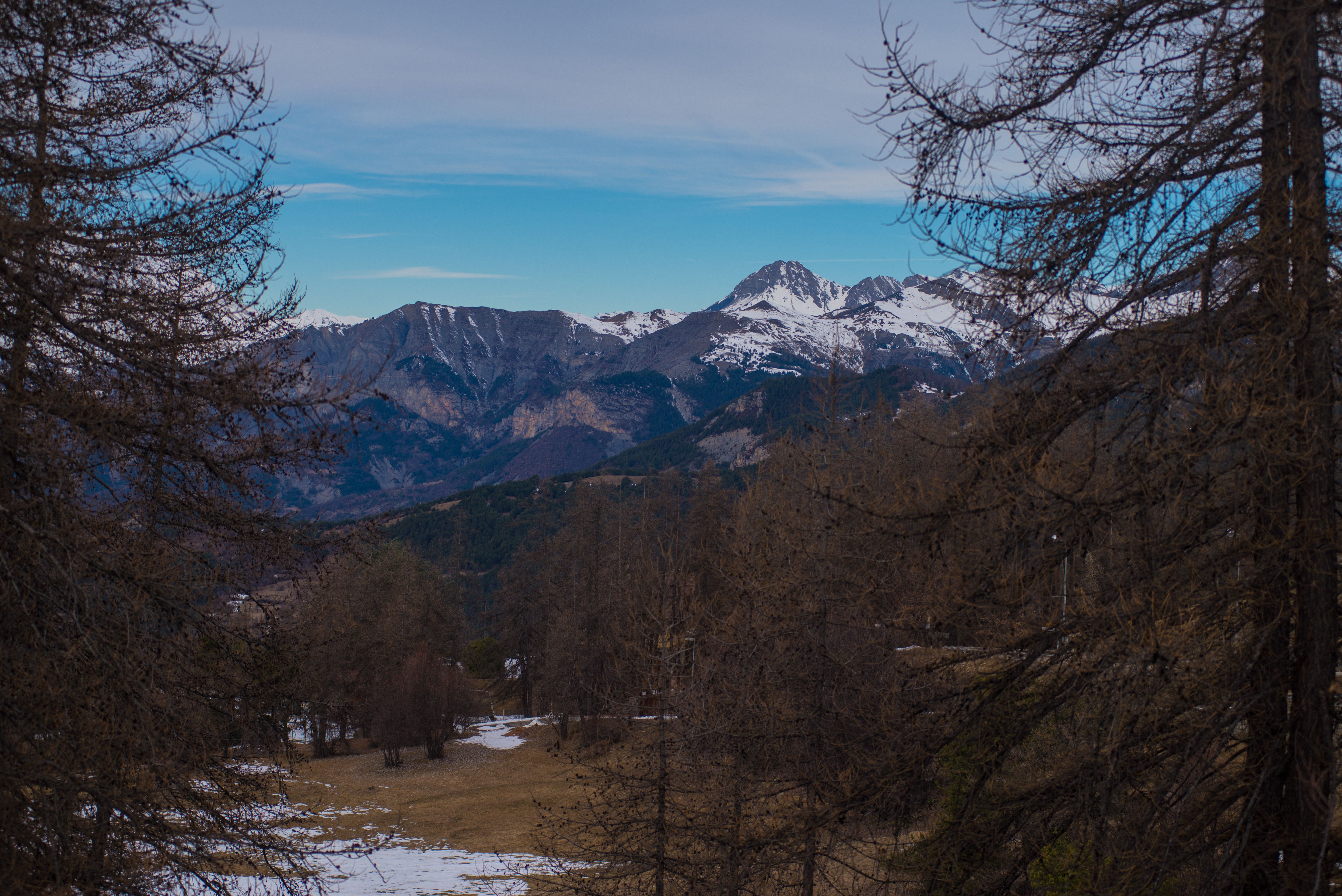 Berge und Wald in der Ferne