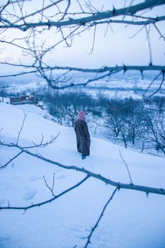 Person in winter clothing walks through snowy landscape in Srinagar, surrounded by bare trees.