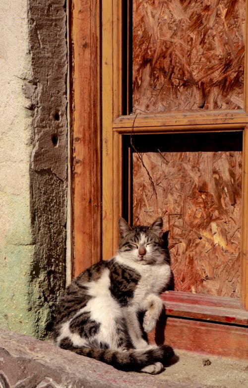 dayanma, dikey atış, eğik içeren Ücretsiz stok fotoğraf