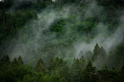 Foto stok gratis awan, bukit, fotografi udara