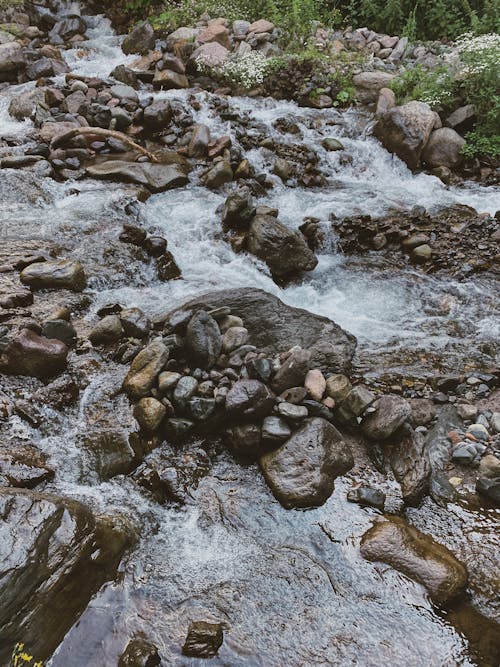 Close up of Rocks and Flowing Water of Stream