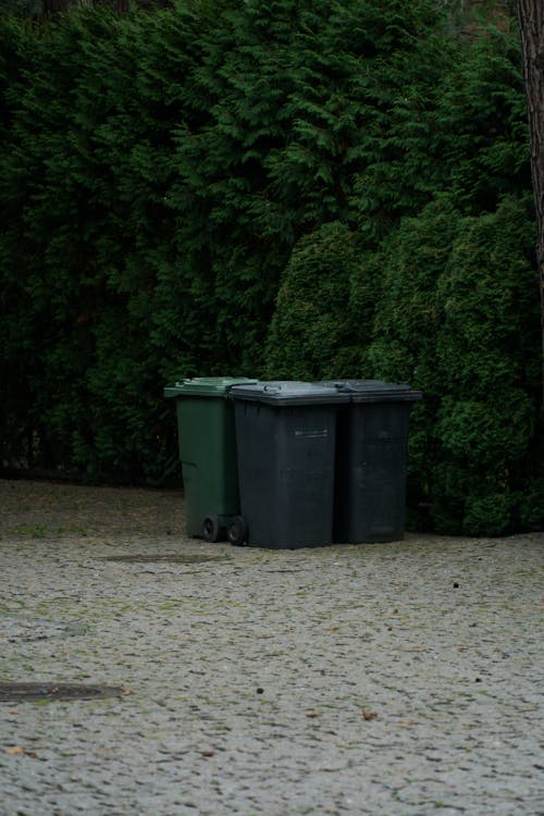 Garbage Bins on Pavement