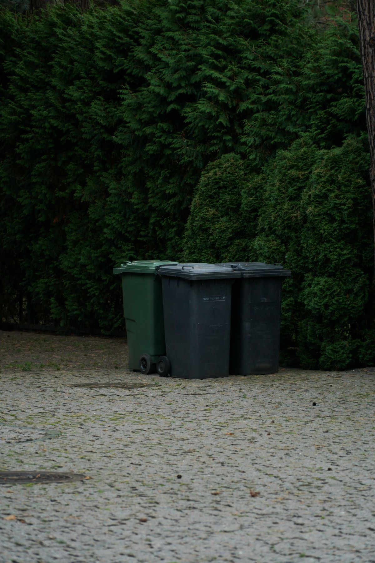 Container de Lixo para Condomínio no Rio Comprido — imagem ilustrativa