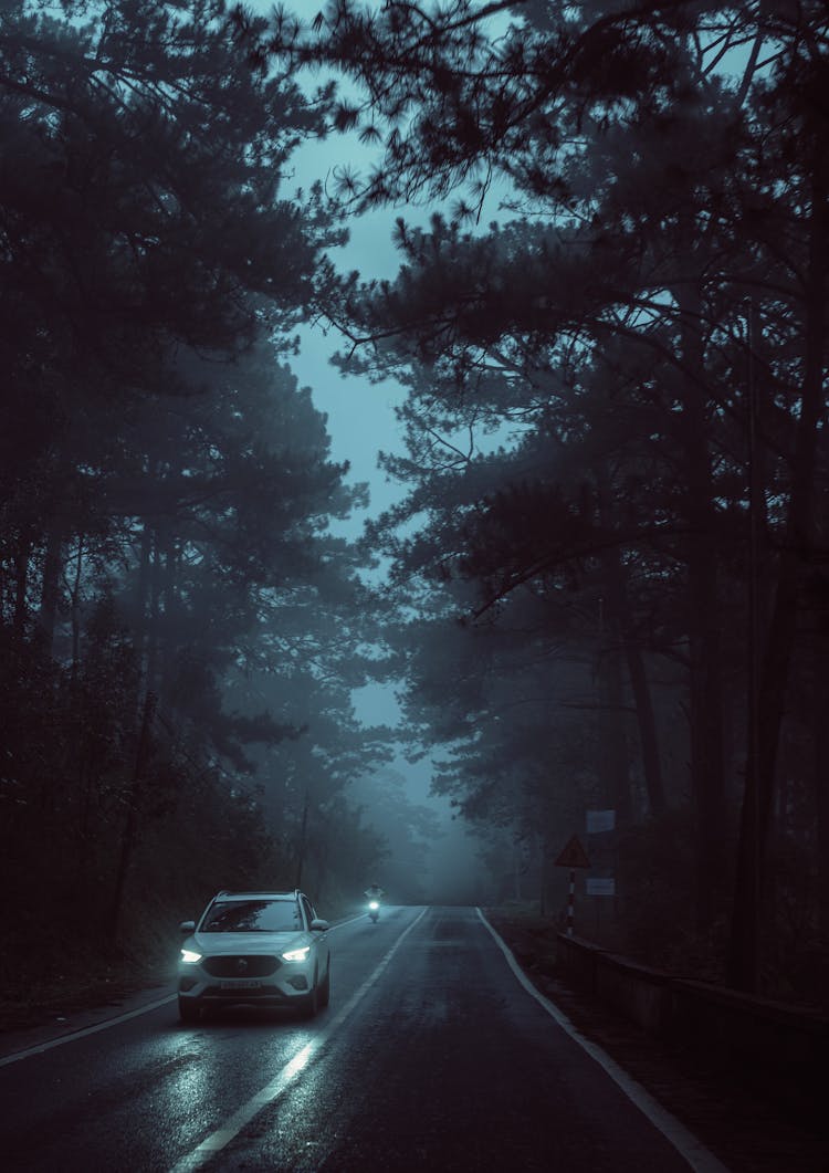 Car And Motorcycle On Road Between Trees