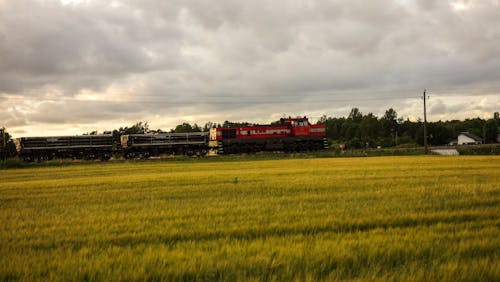 Train passing a field