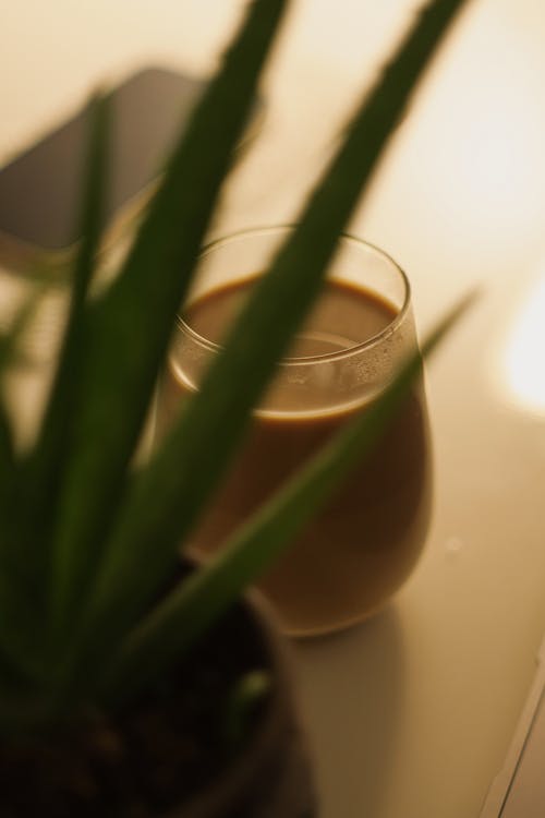 咖啡, 喝, 垂直拍摄 的 免费素材图片