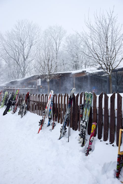 Photos gratuites de arbres, barrière, des skis