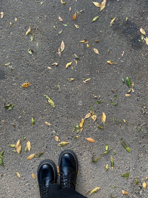 Foto profissional grátis de botas pretas, chão, chuteiras