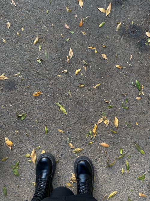 Free Black boots on a leaf-strewn path, capturing the essence of autumn in Saudi Arabia. Stock Photo