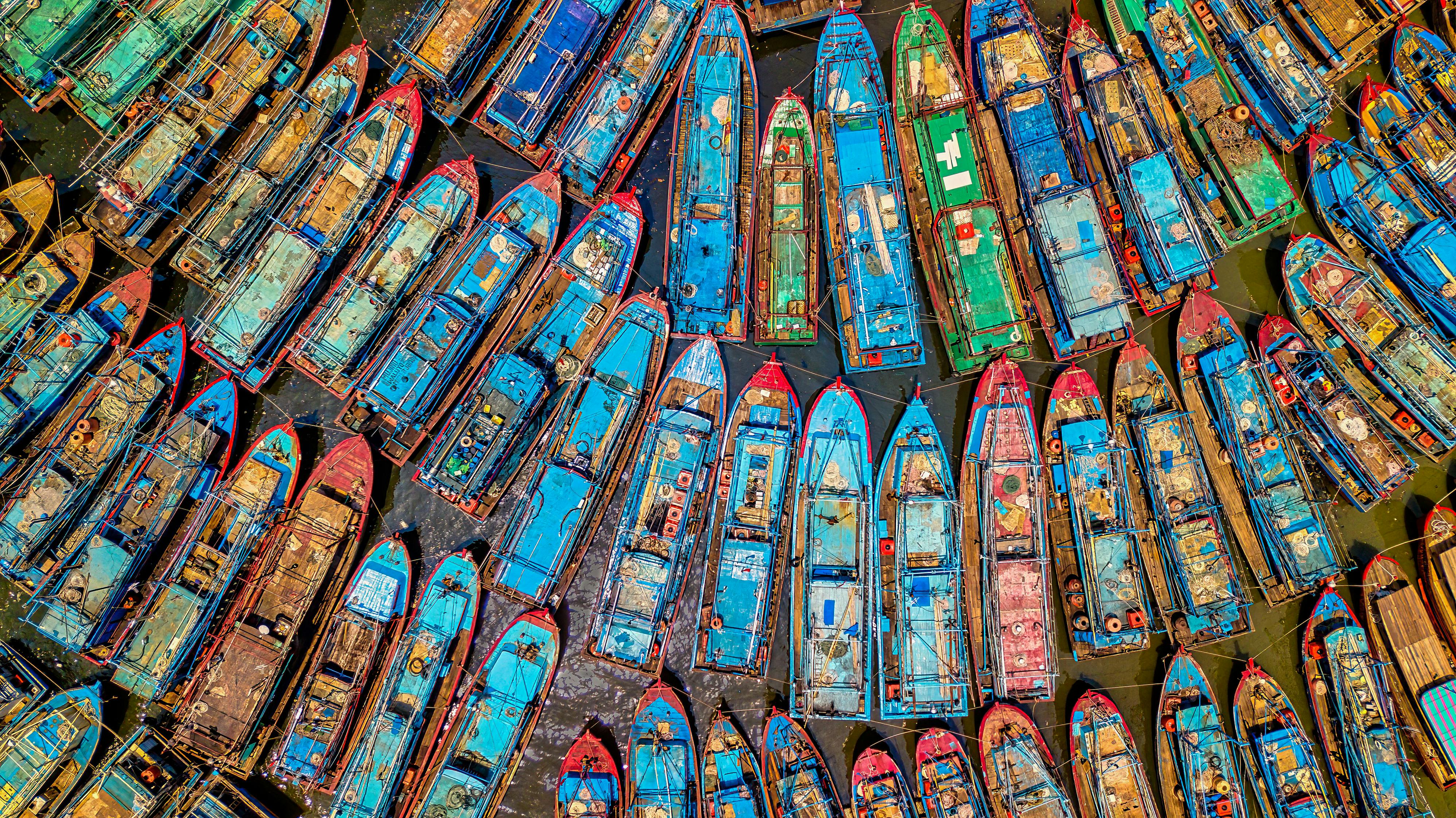 Lush Balinese landscape with palm trees