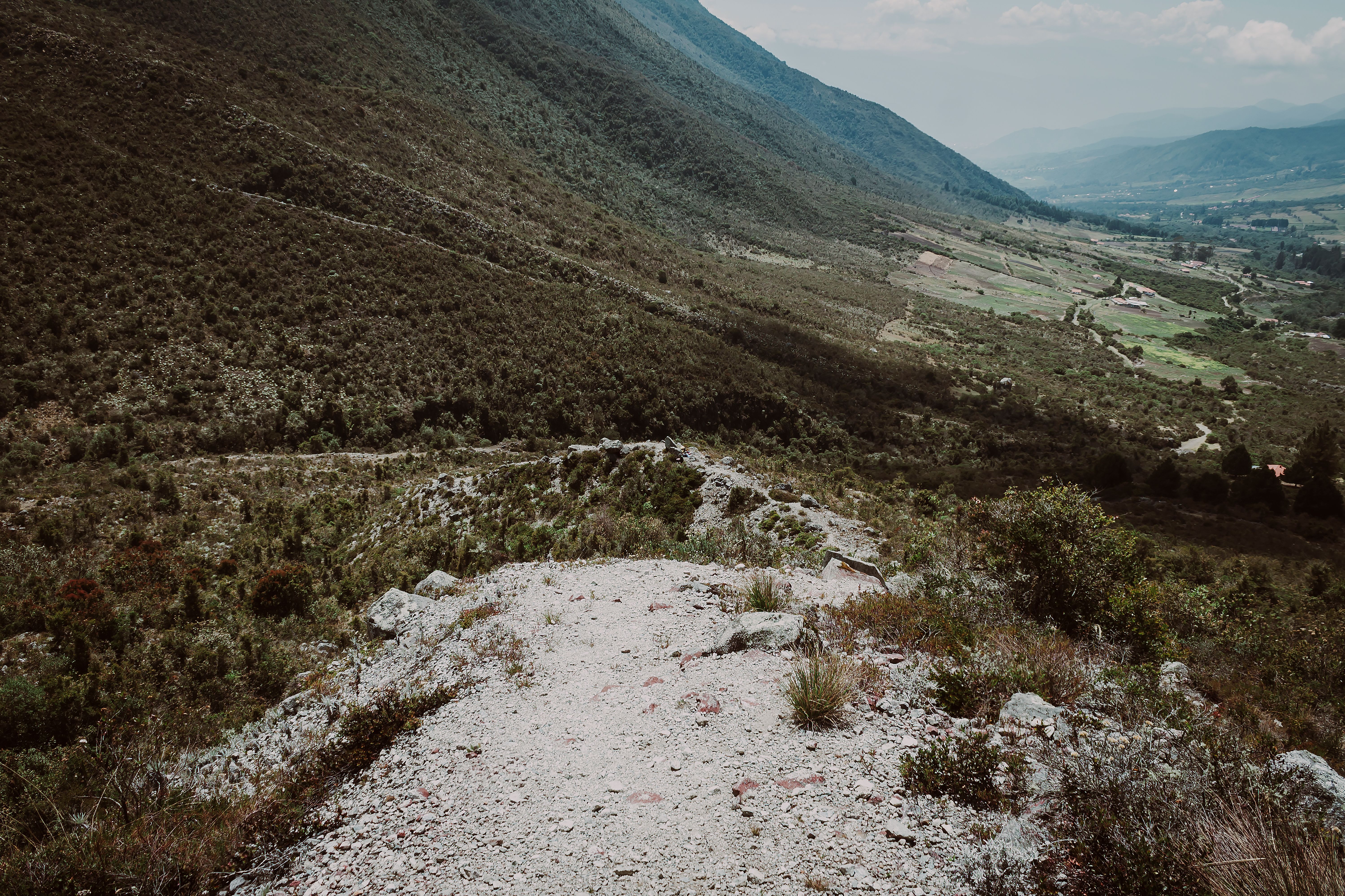 Rocky mountain trail ascending through wilderness