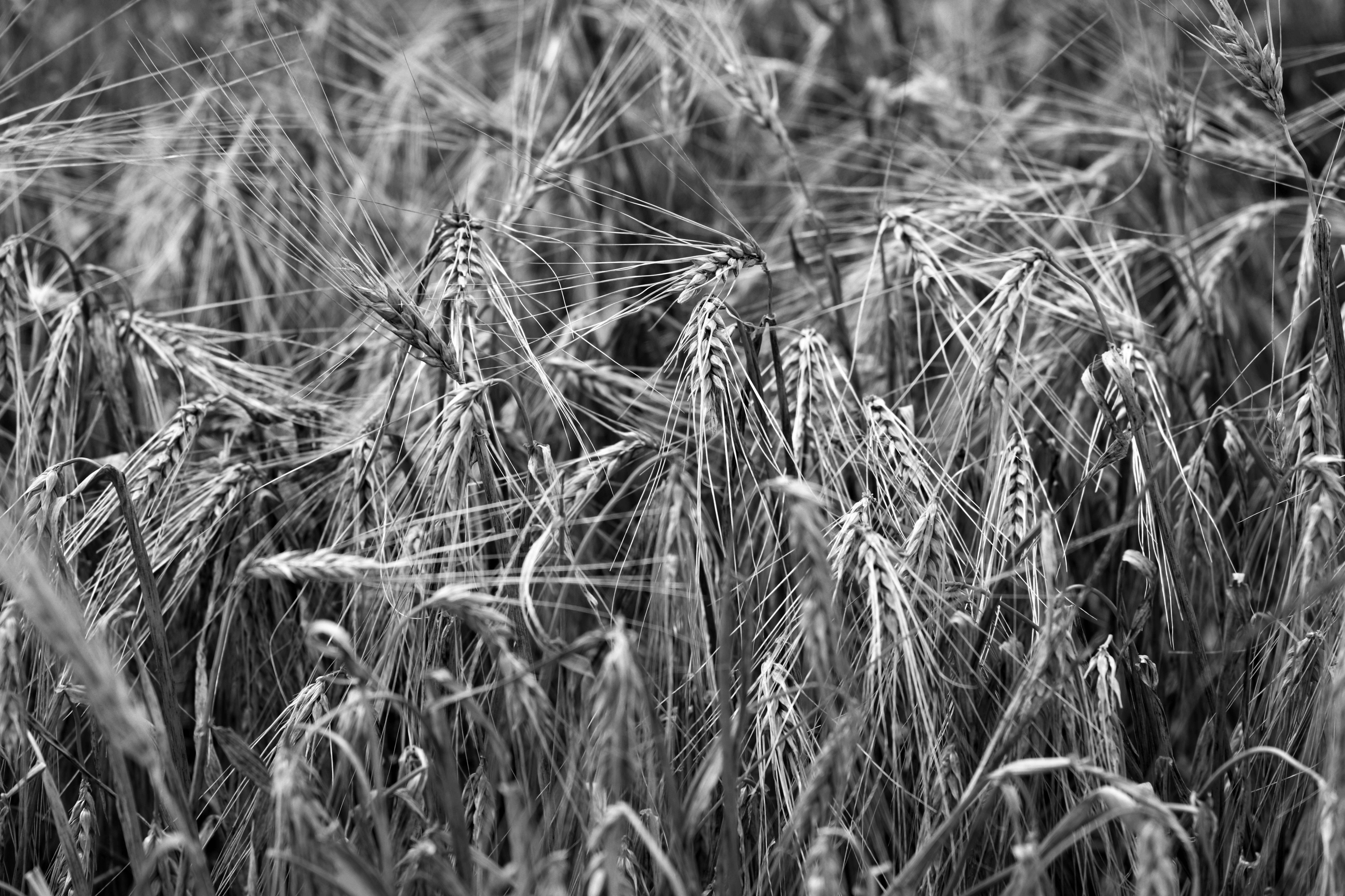 Shopping at Bahnhofstrasse