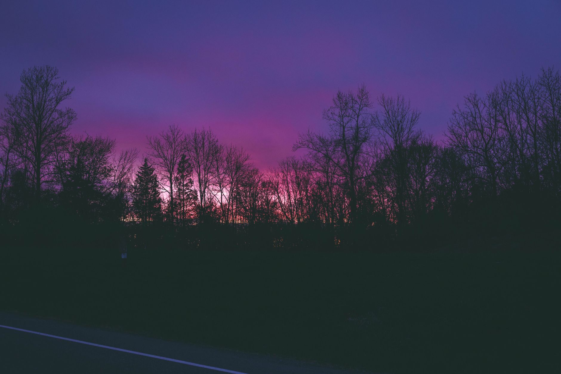 Serene twilight scene with purple and pink sky silhouetting trees along a quiet road.