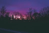 暮色宁静，紫粉色的天空映照着安静道路旁的树木