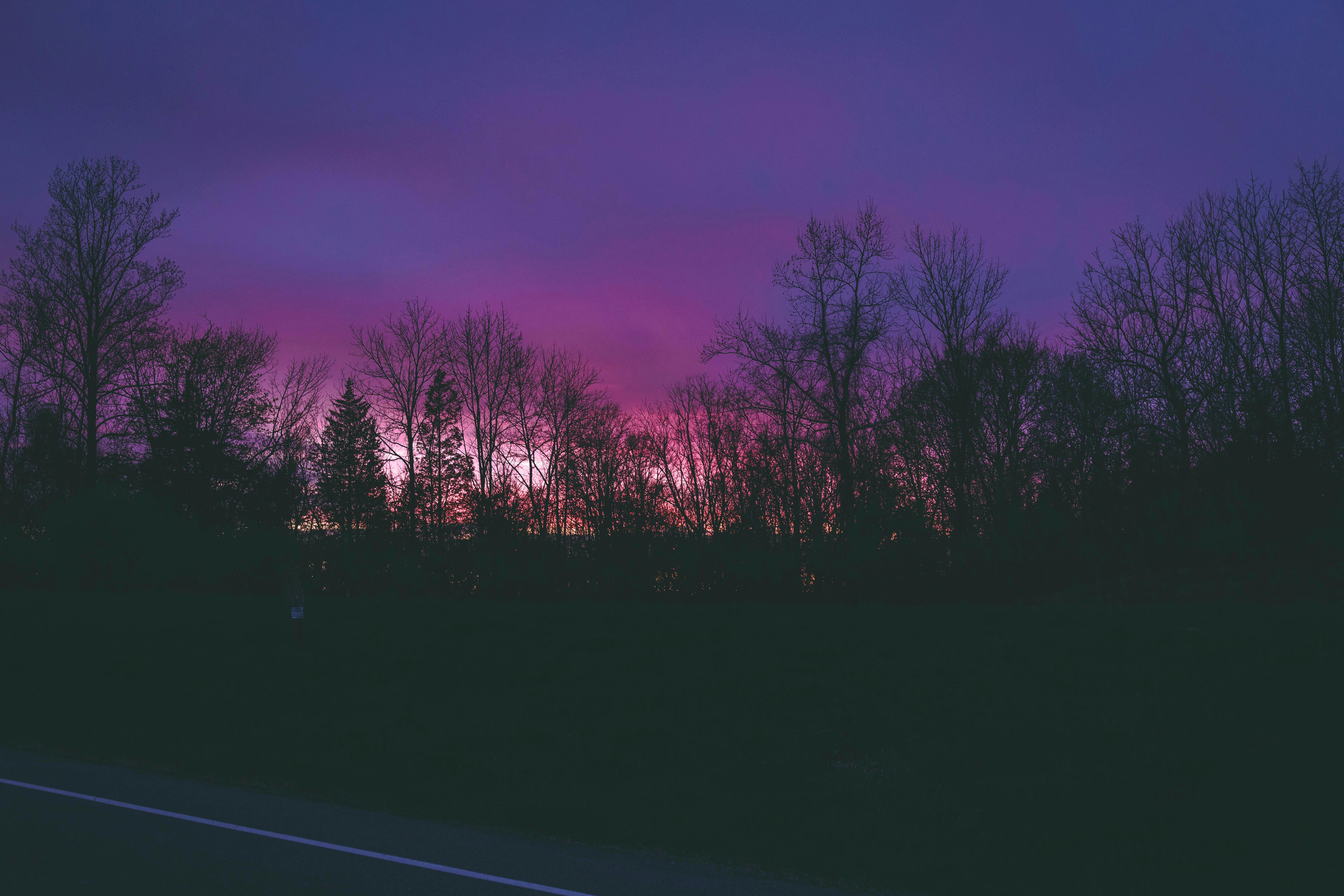 Beautiful Purple Sky Backgrounds