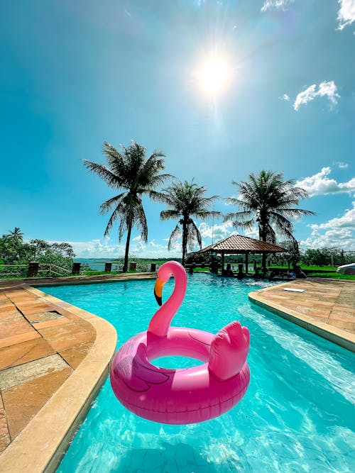 Pink Flamingo Inflatable