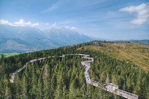 斯洛伐克奥格迪亚尔蜿蜒的人行道穿过郁郁葱葱的森林，以雄伟的山脉为背景，构成一幅美丽的鸟瞰图