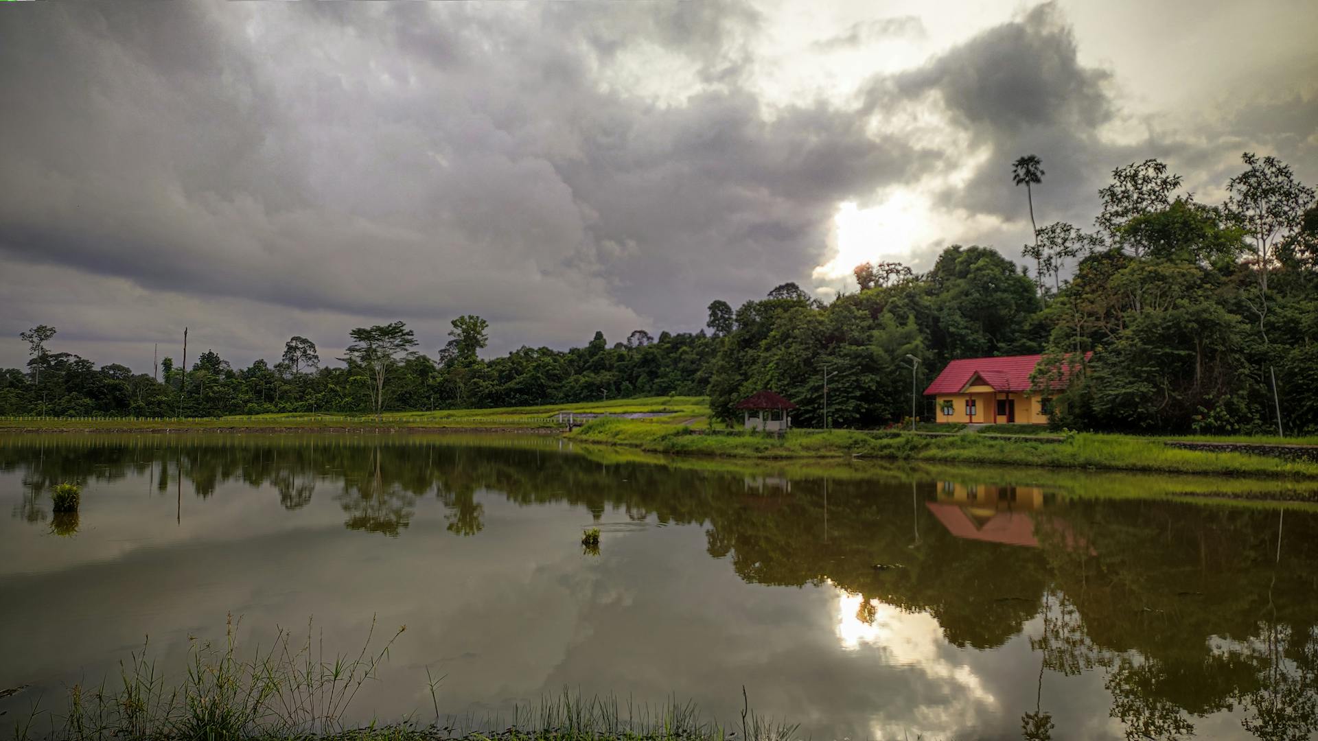 Peaceful lakehouse surrounded by lush forest with serene reflections on an overcast day.