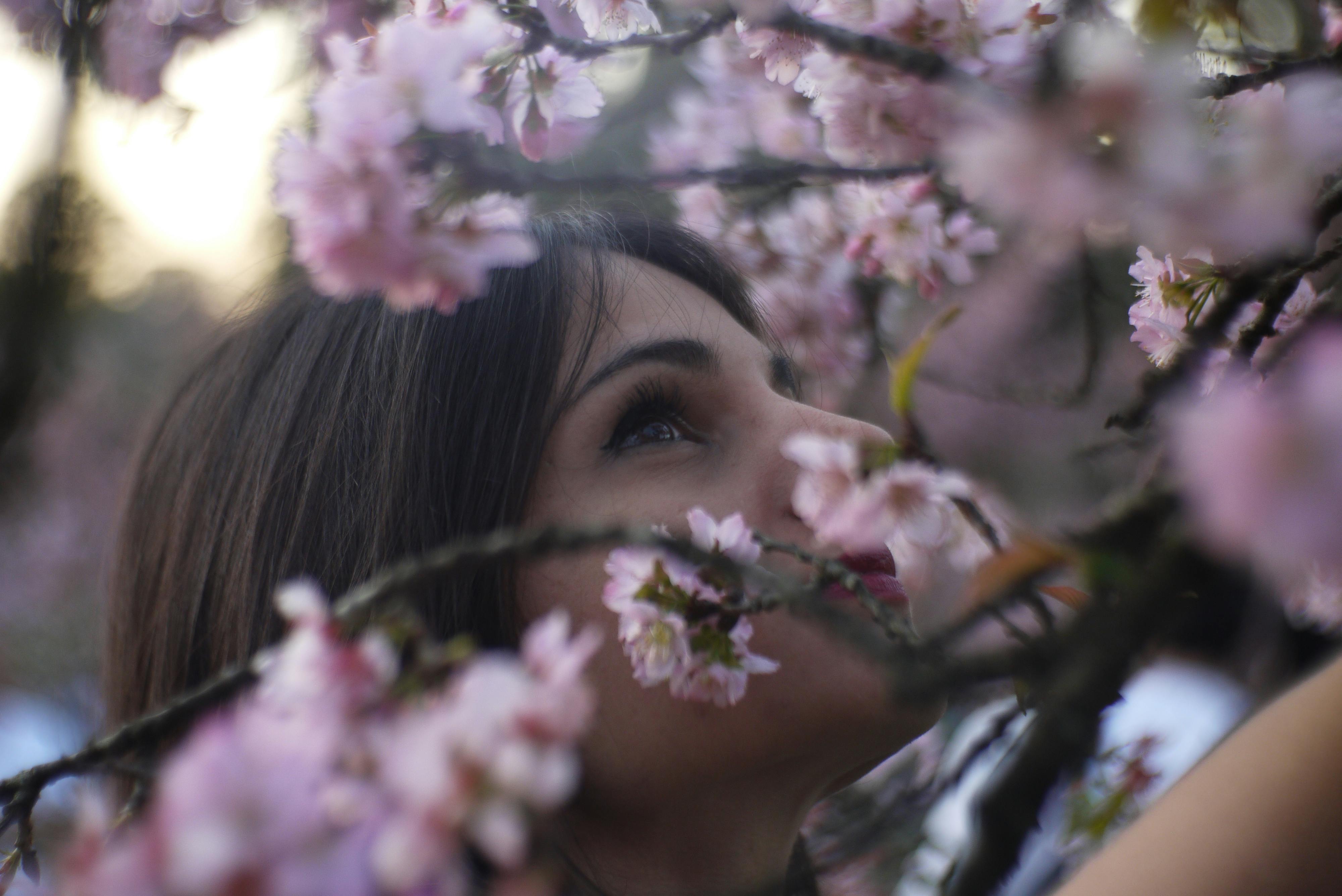 人口花瓣图_飘落的花瓣(2)