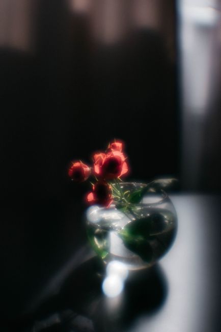 Aesthetic blurred image of red roses in a glass vase, creating a dreamy atmosphere.