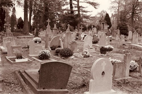 Безкоштовне стокове фото на тему «кладовище, могили, могильна плита»