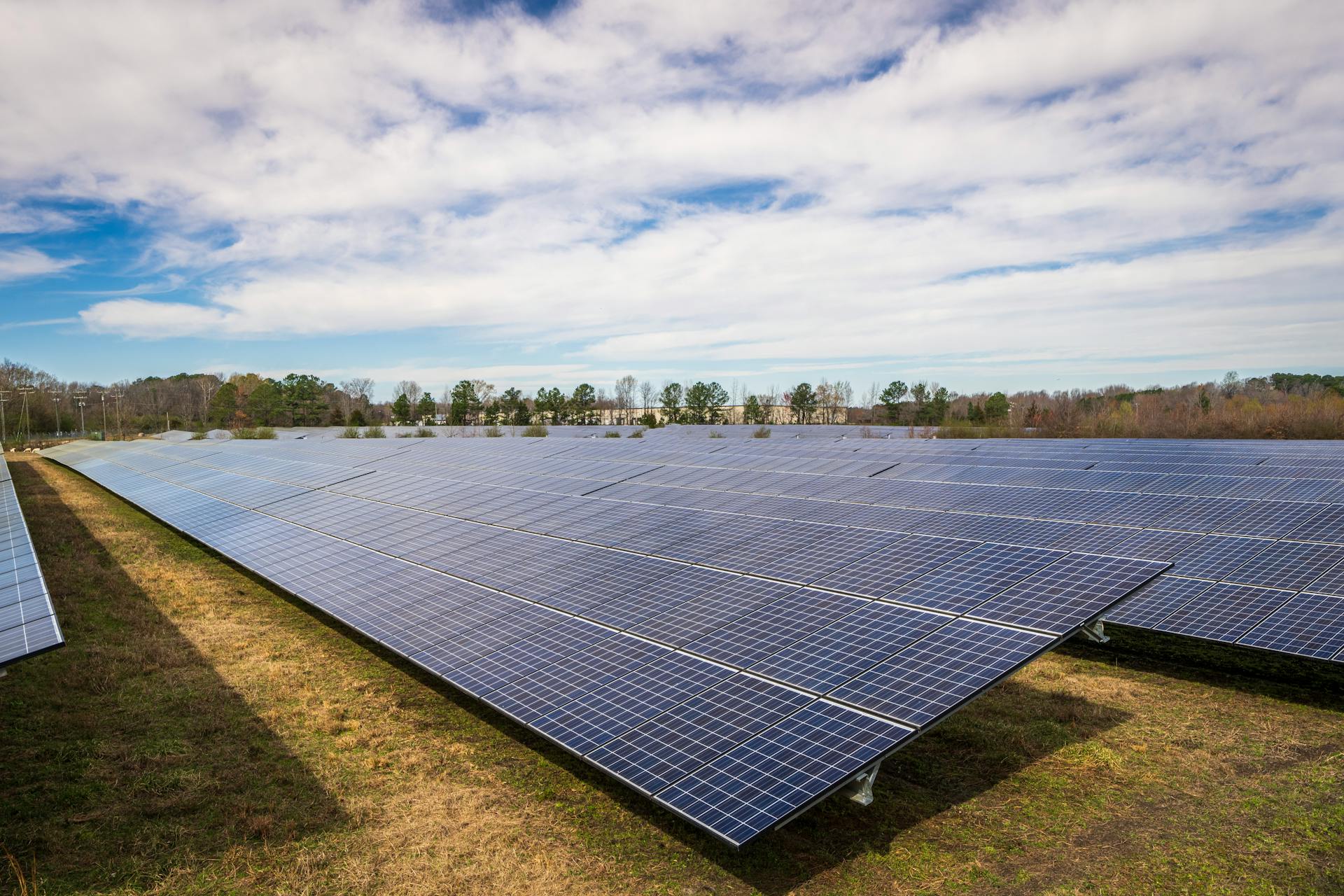 A vast array of solar panels on a sunny day showcasing renewable energy technology.