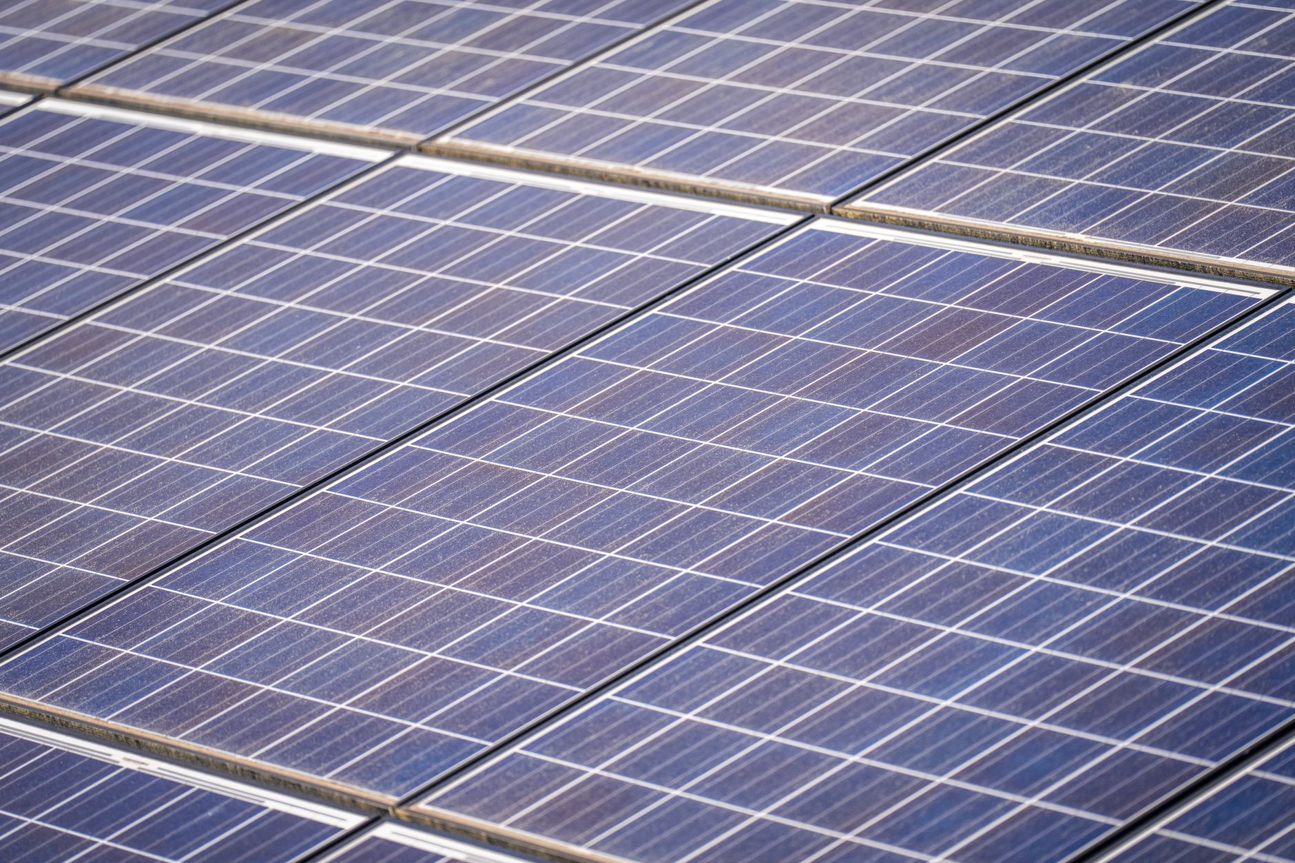 Paneles Solares 2026: Protégete de la Resolución 450