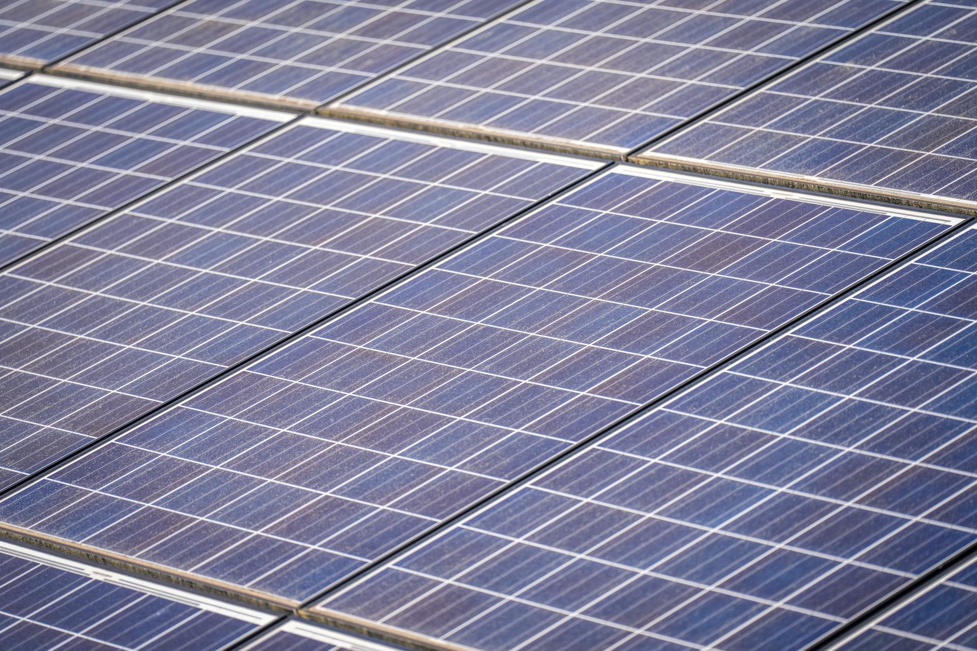 Detailed view of solar panels in a solar farm highlighting renewable energy technology.