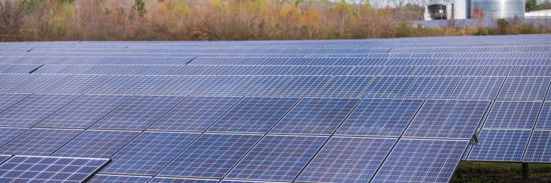 A large field of solar panels capturing renewable energy under a clear sky.
