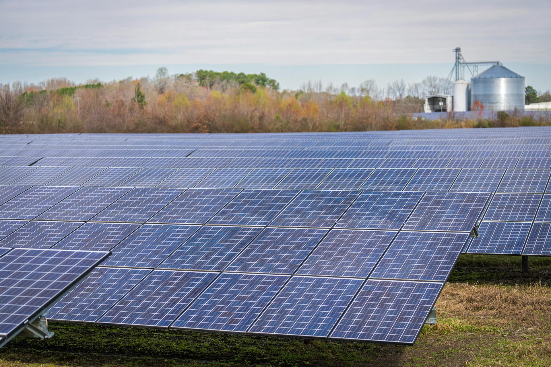 A large field of solar panels capturing renewable energy under a clear sky.