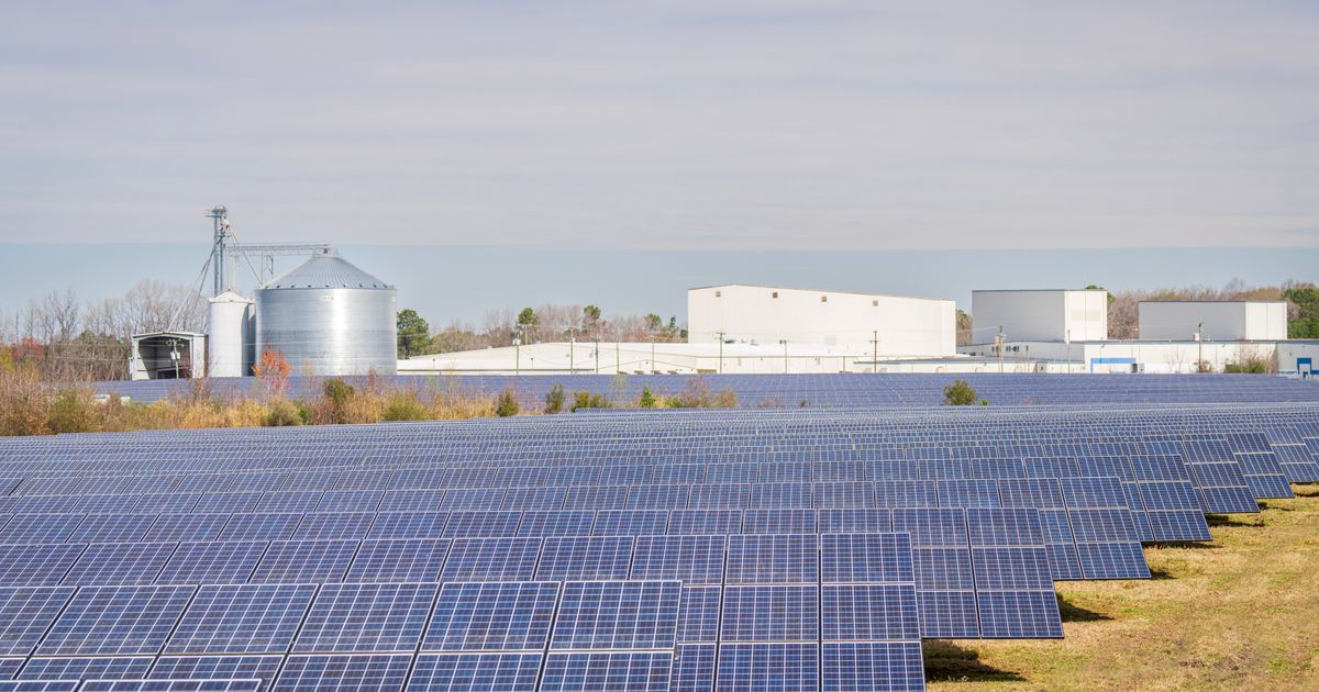 Große Freiflächen-Photovoltaikanlage auf einem Feld – Solarparks als Kundengruppe für die PV-Reinigung