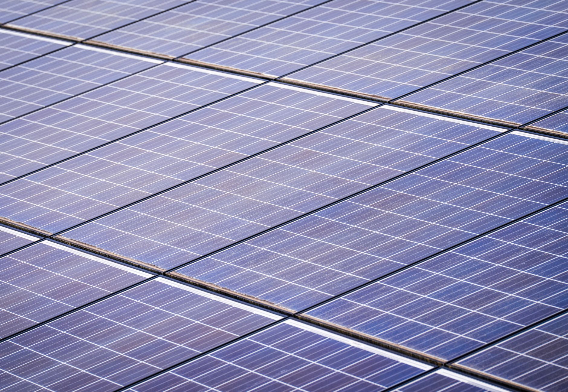 Biocombustíveis: Etanol e Biodiesel no Palco Global da Transição Energética