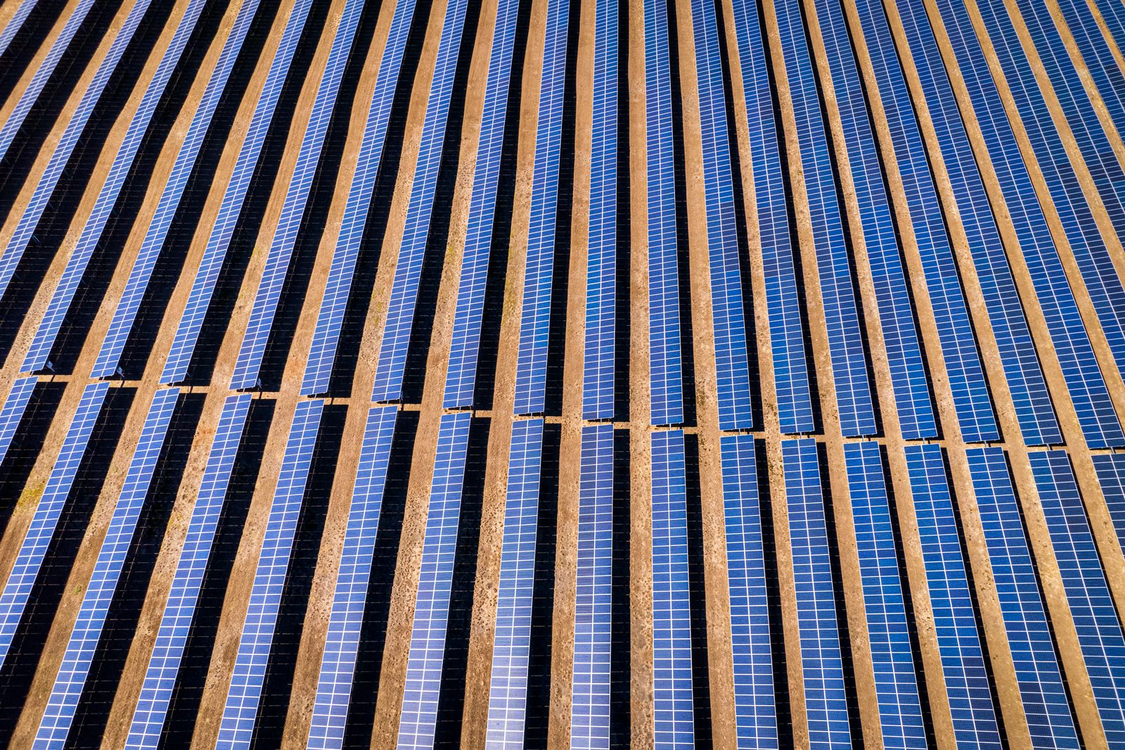 Drone Shot of a Solar Farm · Free Stock Photo