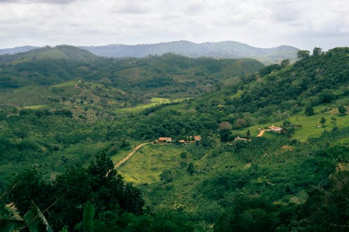 Farmhouse on Green Hills