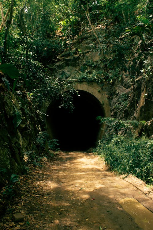 Entrance to Tunnel in Jungle