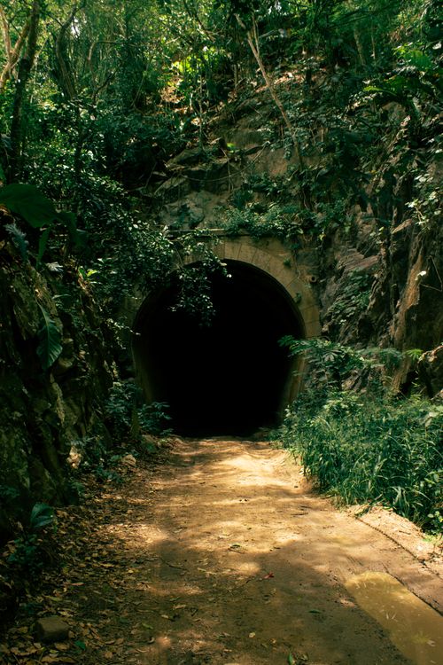 Free Mysterious tunnel entrance surrounded by lush jungle vegetation in Borborema, Brazil. Stock Photo