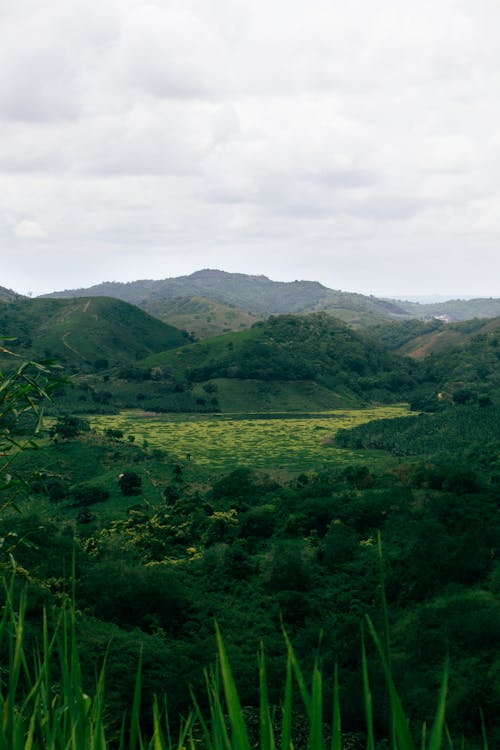 Grassland Near Green Hills in Countryside